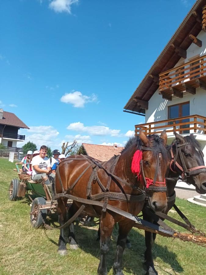 Casa Calea Haiducilor Sohodol  Экстерьер фото