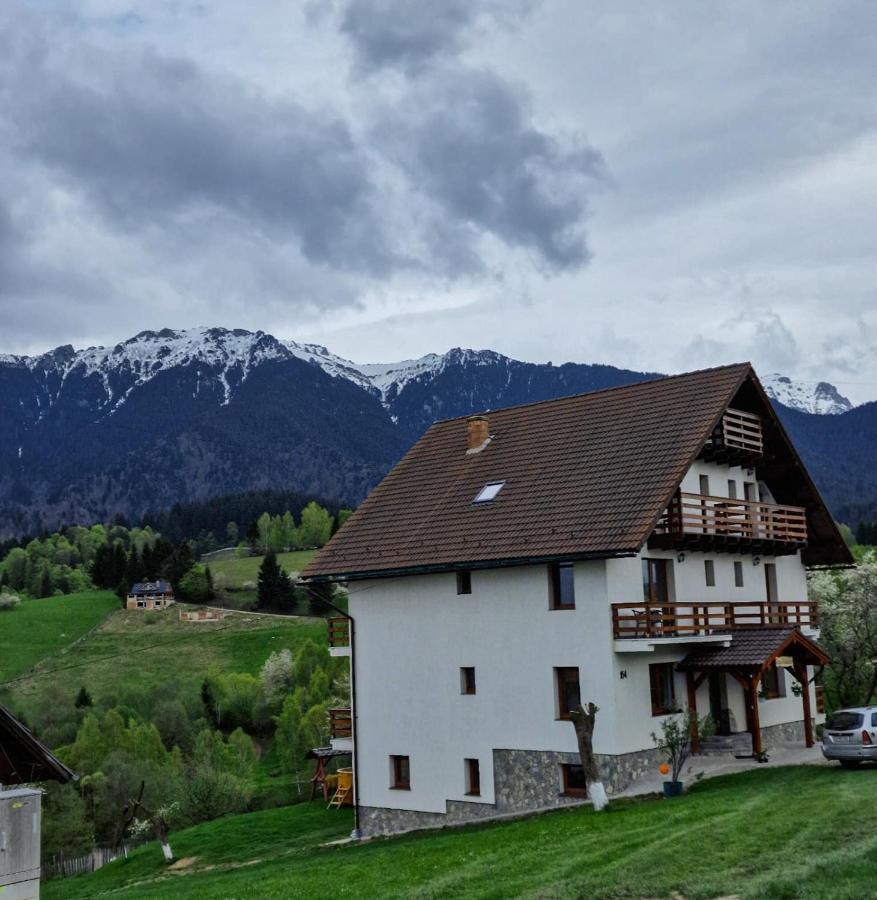 Casa Calea Haiducilor Sohodol  Экстерьер фото
